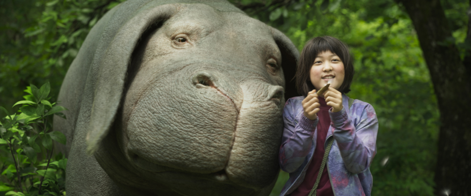 Crítica: ‘Okja’