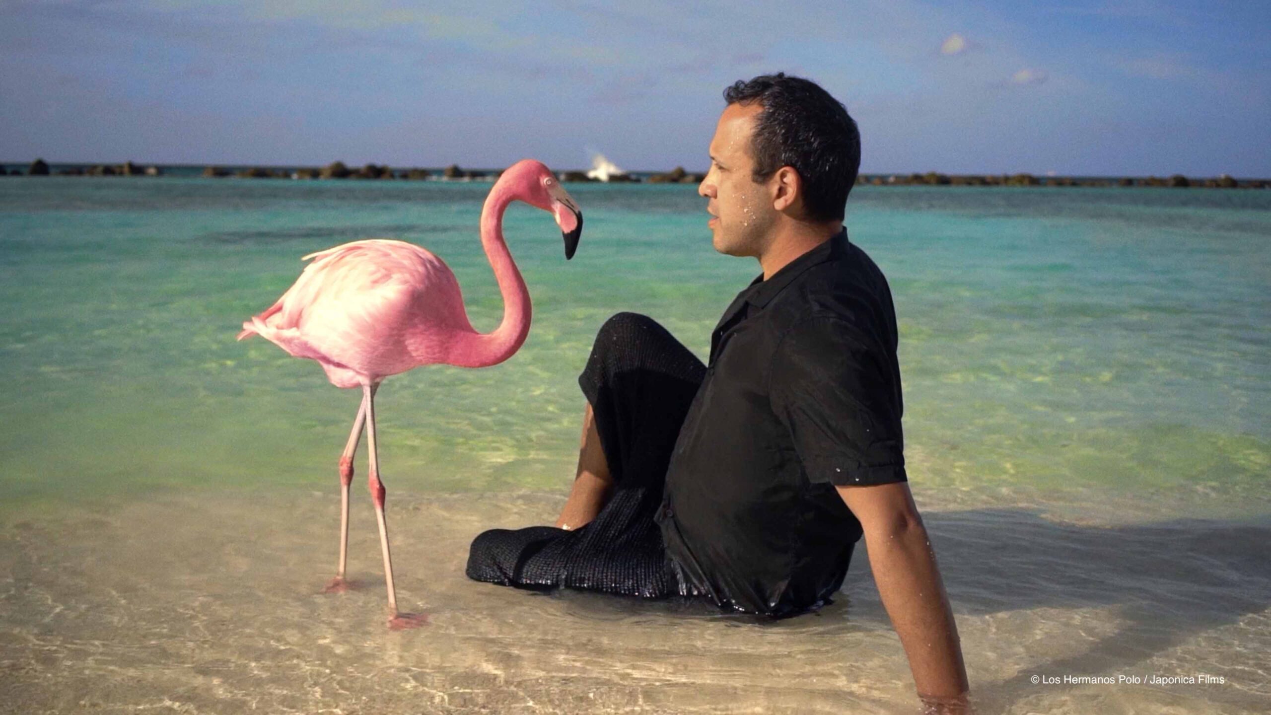 Crítica: ‘The Mystery of the Pink Flamingo’